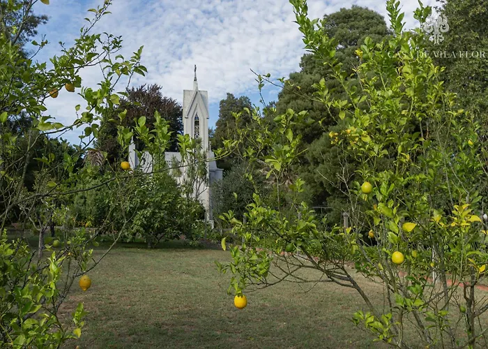 Casa De Flor Σπίτι διακοπών *
